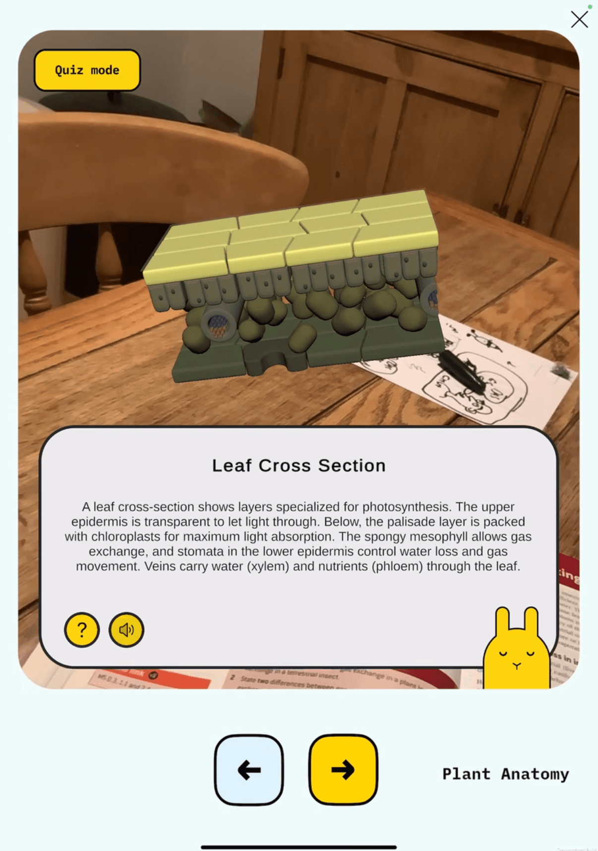 LearnLlama interactive 3D model with touch-based exploration