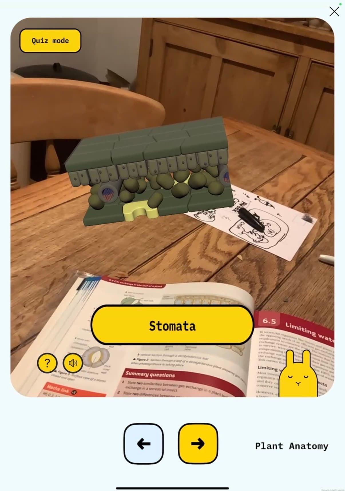LearnLlama showing additional information and audio support